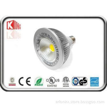 100-277V Par38 COB 18W LED Par Spotlight